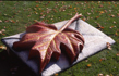 ‘Like Leaves from a Tree’ Radford University, W.Virginia, USA